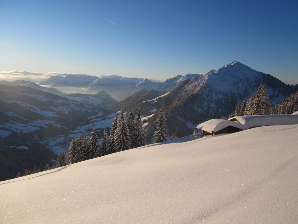 Apartment Acker Alpbach Eksteriør bilde