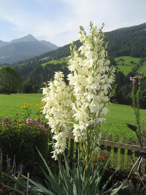 Apartment Acker Alpbach Eksteriør bilde